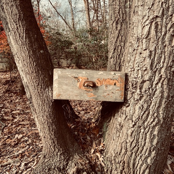 Rebelthrifts.co - Picture 5 of 11